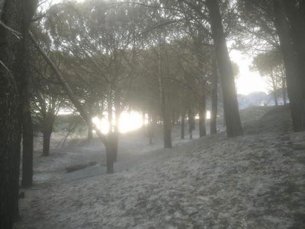 Motta S. Giovanni, cordoglio per la tragedia di Montebello