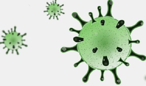 Regione Calabria, sono 333 i positivi al Coronavirus