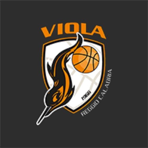 Viola Reggio Calabria, penalizzazione sproporzionata e punitiva